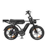 PIXAR M9 20" Fat Tire Elektrofahrrad 250W Motor 48V 35Ah Batterie
