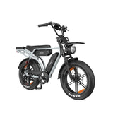 PIXAR M9 20" Fat Tire Elektrofahrrad 250W Motor 48V 35Ah Batterie