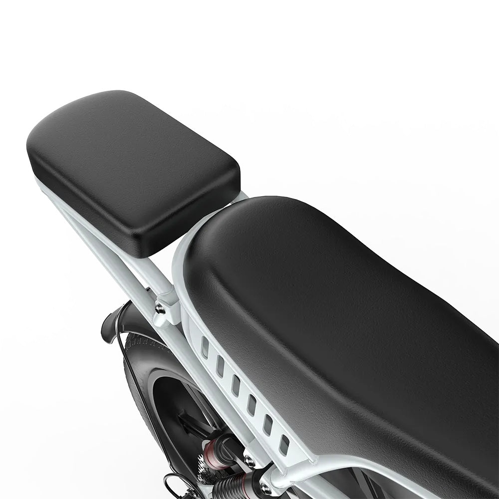 PIXAR M9 20" Fat Tire Elektrofahrrad 250W Motor 48V 35Ah Batterie