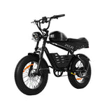 PIXAR SuperV 20" Fatbike 500W Motor 48V 30/15.6Ah Batterie