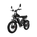 RAYZEPH C20MAX-1 20" Offroad-Elektrofahrrad 2000W Motor 52V 40Ah Batterie