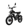 RAYZEPH C20MAX-1 20" Offroad-Elektrofahrrad 2000W Motor 52V 40Ah Batterie
