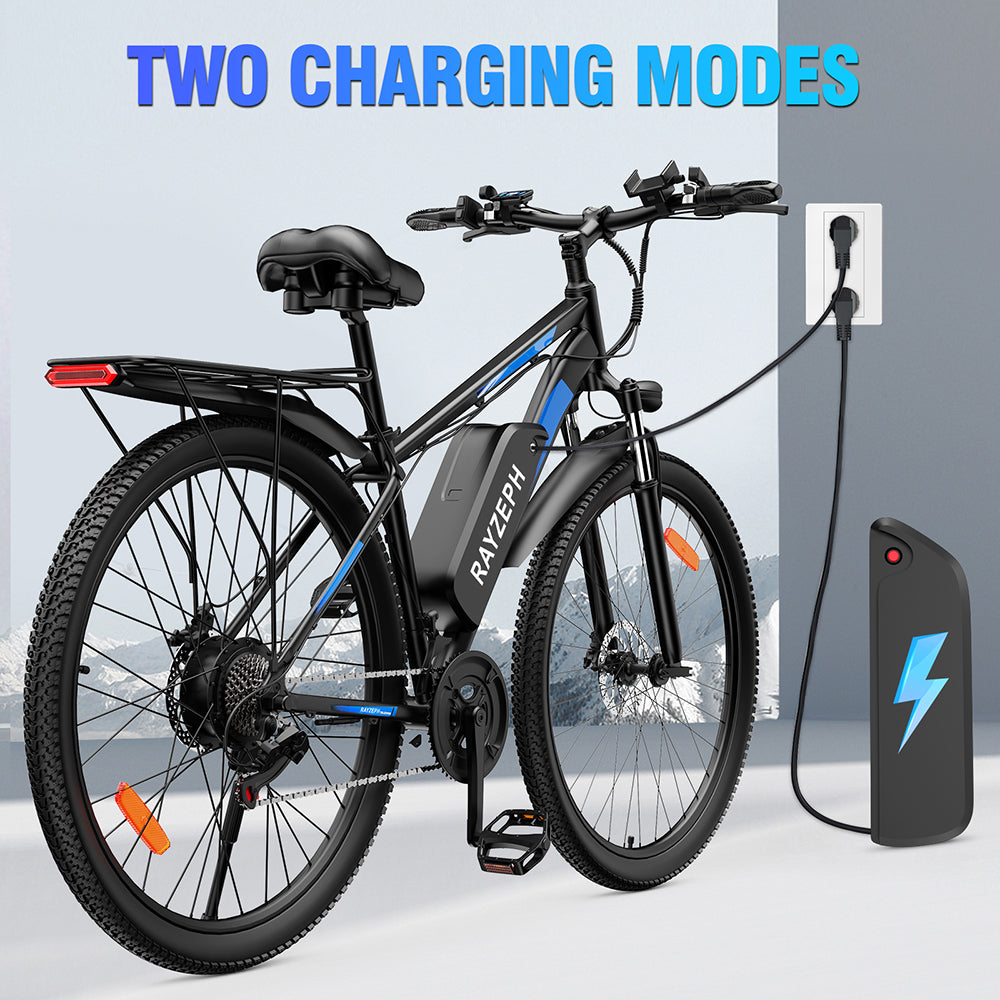 RAYZEPH S29 PRO 29" Elektrisches Mountainbike 1000W Motor 48V 21Ah Batterie