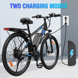 RAYZEPH S29 PRO 29" Elektrisches Mountainbike 1000W Motor 48V 21Ah Batterie