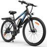 RIDSTAR S29 Pro 29" Elektrisches Mountainbike 1000W Motor 48V 15.6Ah Batterie