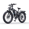 RIDSTAR E26 Pro 26" Fette Reifen E-Mountainbike 2000W Doppelmotor 48V 23Ah Batterie