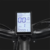 RIDSTAR Q20 20" Fat Tires Elektrofahrrad 1000W Motor 48V 20Ah Batterie