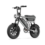 URLIFE T16 16" Offroad-Elektrofahrrad 250W Motor 48V 13Ah Batterie