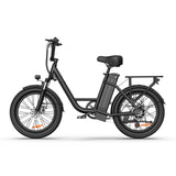 URLIFE E20 20” Tiefeinsteiger-Elektrofahrrad 250W Motor 48V 13Ah Batterie (EU edition)