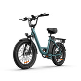 URLIFE E20 20” Tiefeinsteiger-Elektrofahrrad 250W Motor 48V 13Ah Batterie (EU edition)