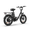 URLIFE E20 20” Tiefeinsteiger-Elektrofahrrad 250W Motor 48V 13Ah Batterie (EU edition)