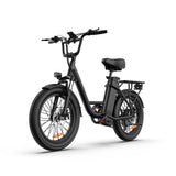 URLIFE E20 20” Tiefeinsteiger-Elektrofahrrad 250W Motor 48V 13Ah Batterie (EU edition)