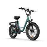 URLIFE E20 20” Tiefeinsteiger-Elektrofahrrad 250W Motor 48V 13Ah Batterie (EU edition)