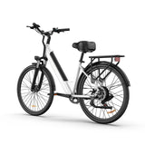 URLIFE E26 26 Zoll E-Bike mit tiefem Einstieg 250W Motor 36V 13Ah Batterie (EU edition)
