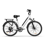 URLIFE E26 26 Zoll E-Bike mit tiefem Einstieg 250W Motor 36V 13Ah Batterie (EU edition)
