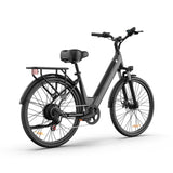 URLIFE E26 26 Zoll E-Bike mit tiefem Einstieg 250W Motor 36V 13Ah Batterie (EU edition)
