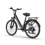 URLIFE E26 26 Zoll E-Bike mit tiefem Einstieg 250W Motor 36V 13Ah Batterie (EU edition)