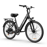 URLIFE E26 26 Zoll E-Bike mit tiefem Einstieg 250W Motor 36V 13Ah Batterie (EU edition)