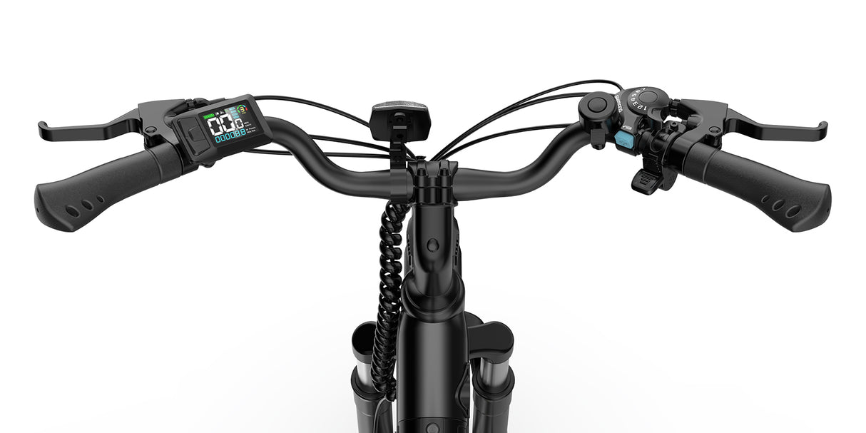 URLIFE E26 26 Zoll E-Bike mit tiefem Einstieg 250W Motor 36V 13Ah Batterie (EU edition)