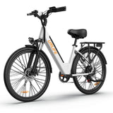 URLIFE E26 26 Zoll E-Bike mit tiefem Einstieg 250W Motor 36V 13Ah Batterie (EU edition)