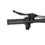 URLIFE F1L 14 Zoll faltbares E-Bike 250W Motor 48V 7.5Ah Batterie