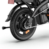 URLIFE F1L 14 Zoll faltbares E-Bike 250W Motor 48V 7,5Ah Batterie