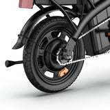 URLIFE F1L 14 Zoll faltbares E-Bike 250W Motor 48V 7,5Ah Batterie