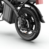 URLIFE F1L 14 Zoll faltbares E-Bike 250W Motor 48V 7,5Ah Batterie