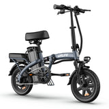 URLIFE F1L 14 Zoll faltbares E-Bike 250W Motor 48V 7,5Ah Batterie