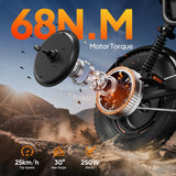 URLIFE T16 16" Offroad-Elektrofahrrad 250W Motor 48V 13Ah Batterie