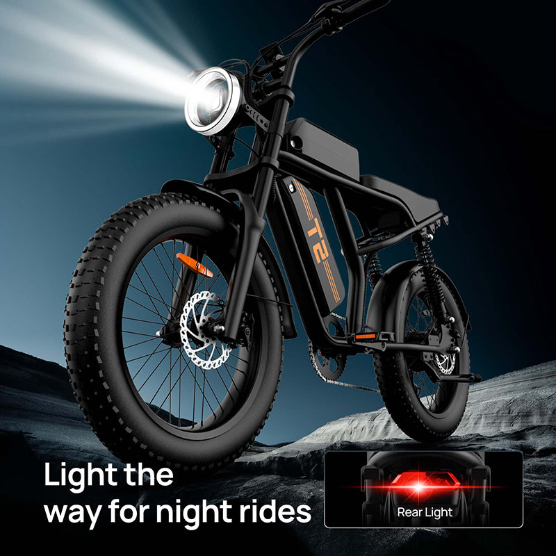 URLIFE T2 20" Off-Road Elektrofahrrad 250W Motor 48V 15.6Ah Batterie