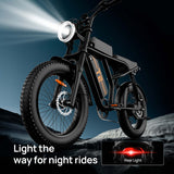 URLIFE T2 20" Off-Road Elektrofahrrad 250W Motor 48V 15.6Ah Batterie