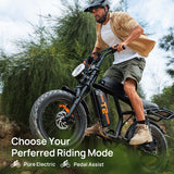URLIFE T2 20" Off-Road Elektrofahrrad 250W Motor 48V 15.6Ah Batterie