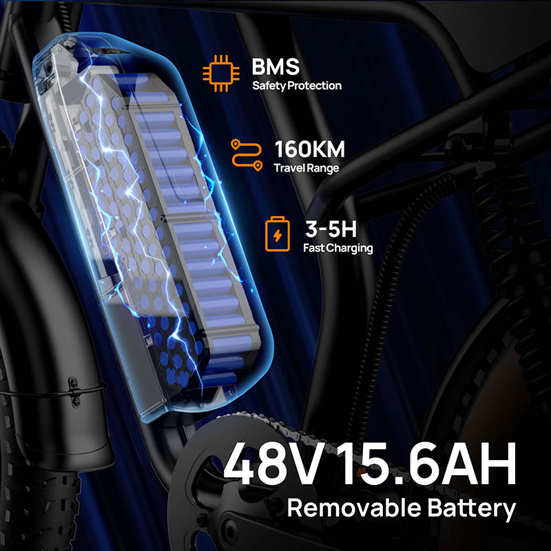URLIFE T2 20" Off-Road Elektrofahrrad 250W Motor 48V 15.6Ah Batterie