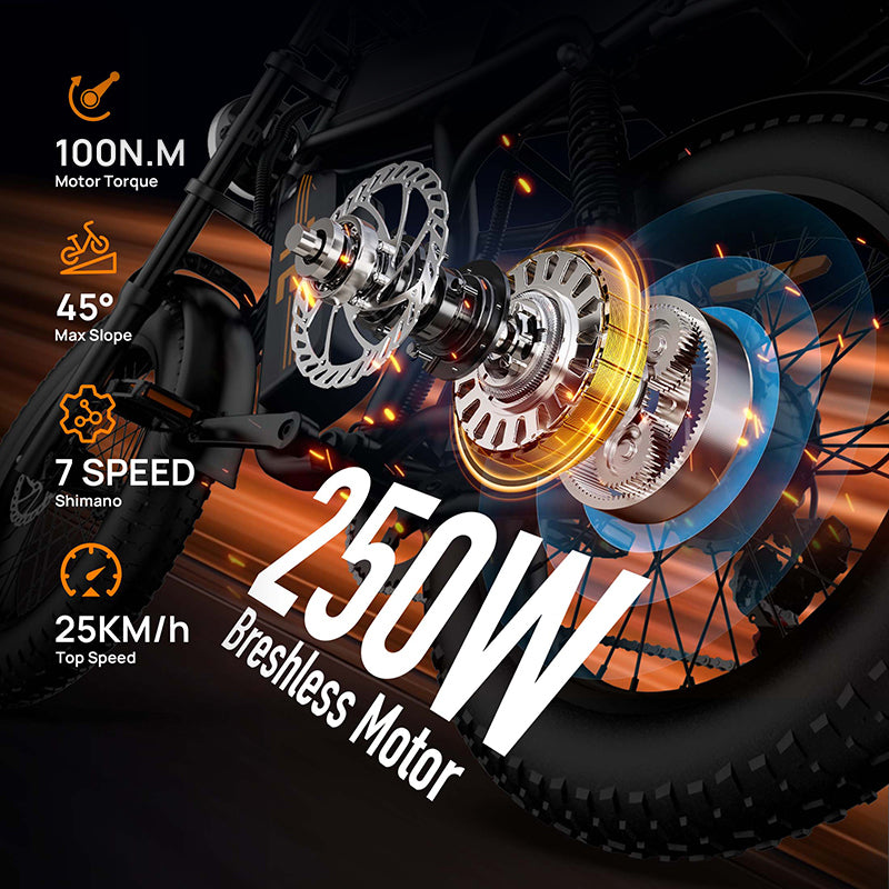 URLIFE T2 20" Off-Road Elektrofahrrad 250W Motor 48V 15.6Ah Batterie
