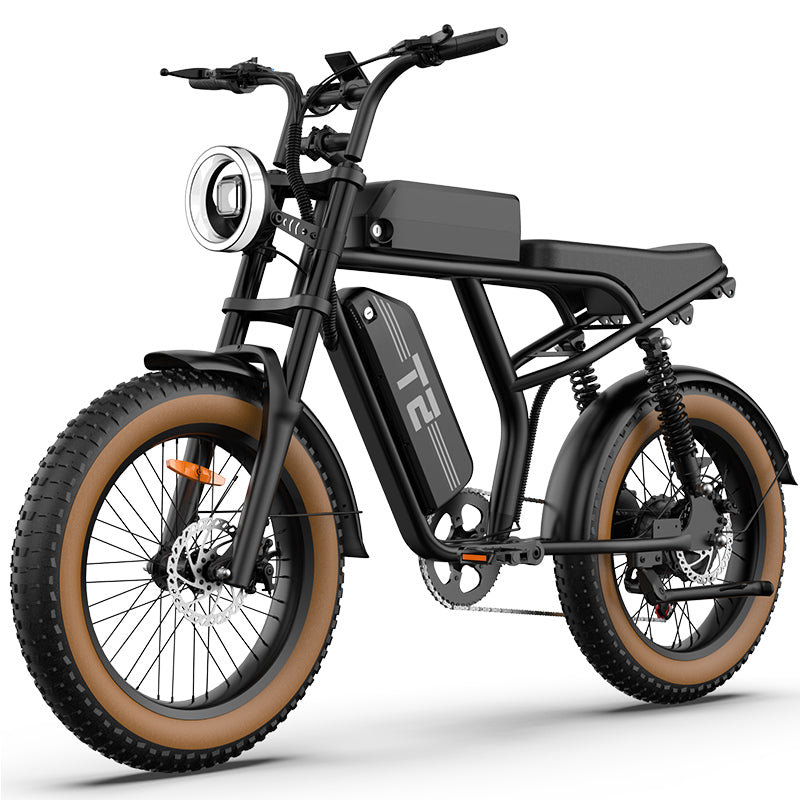 URLIFE T2 20" Off-Road Elektrofahrrad 250W Motor 48V 15.6Ah Batterie