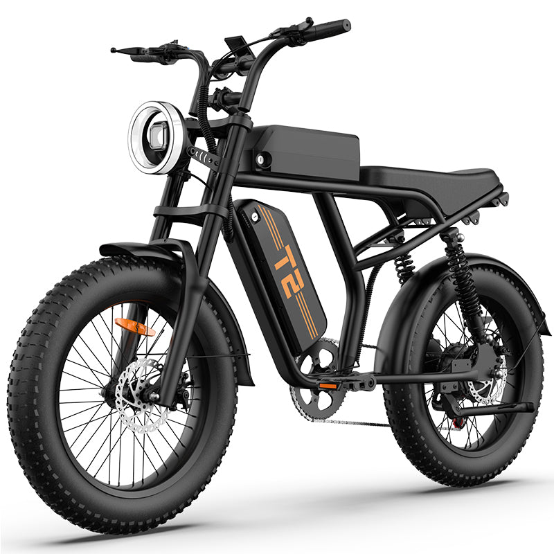 URLIFE T2 20" Off-Road Elektrofahrrad 250W Motor 48V 15.6Ah Batterie