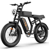 URLIFE T2 20" Off-Road Elektrofahrrad 250W Motor 48V 15.6Ah Batterie