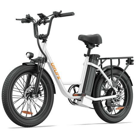 URLIFE E20 20” Tiefeinsteiger-Elektrofahrrad 250W Motor 48V 13Ah Batterie (EU edition)