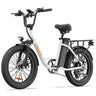URLIFE E20 20” Tiefeinsteiger-Elektrofahrrad 250W Motor 48V 13Ah Batterie (EU edition)