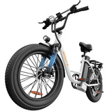 URLIFE E20 20” Tiefeinsteiger-Elektrofahrrad 250W Motor 48V 13Ah Batterie (EU edition)