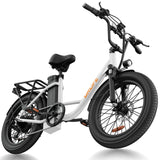 URLIFE E20 20” Tiefeinsteiger-Elektrofahrrad 250W Motor 48V 13Ah Batterie (EU edition)