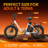URLIFE E20 20” Tiefeinsteiger-Elektrofahrrad 250W Motor 48V 13Ah Batterie (EU edition)