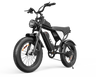 YVY C20Lite(Q20 Lite) 20" Fat Tire Elektrofahrrad 1000W Motor 48V 15Ah Batterie