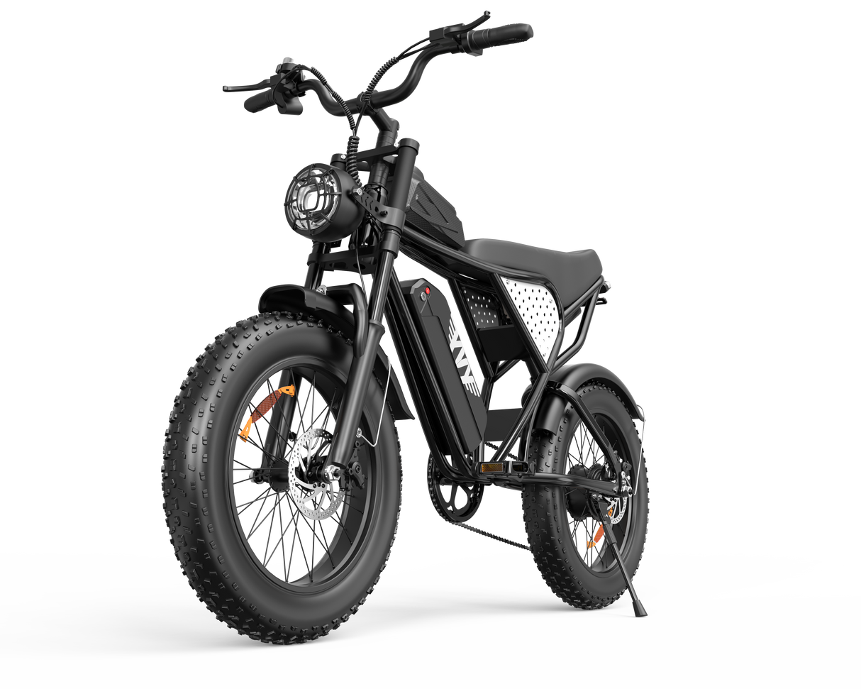 YVY C20Lite(Q20 Lite) 20" Fat Tire Elektrofahrrad 1000W Motor 48V 15Ah Batterie