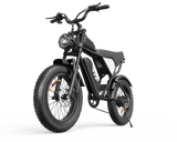 YVY C20Lite(Q20 Lite) 20" Fat Tire Elektrofahrrad 1000W Motor 48V 15Ah Batterie