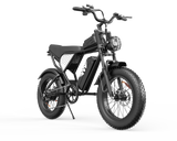 YVY C20Lite(Q20 Lite) 20" Fat Tire Elektrofahrrad 1000W Motor 48V 15Ah Batterie