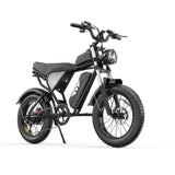 YVY C20(Q20) 20" Fat Tires Elektrofahrrad 1000W Motor 48V 20Ah Batterie