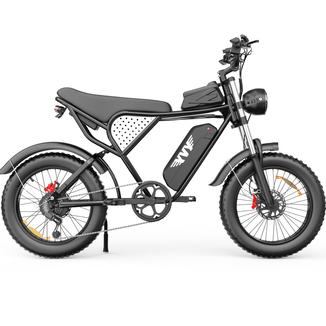 YVY C20(Q20) 20" Fat Tires Elektrofahrrad 1000W Motor 48V 20Ah Batterie