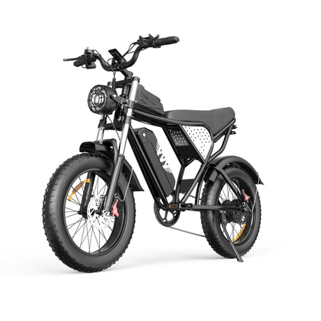 YVY C20(Q20) 20" Fat Tires Elektrofahrrad 1000W Motor 48V 20Ah Batterie